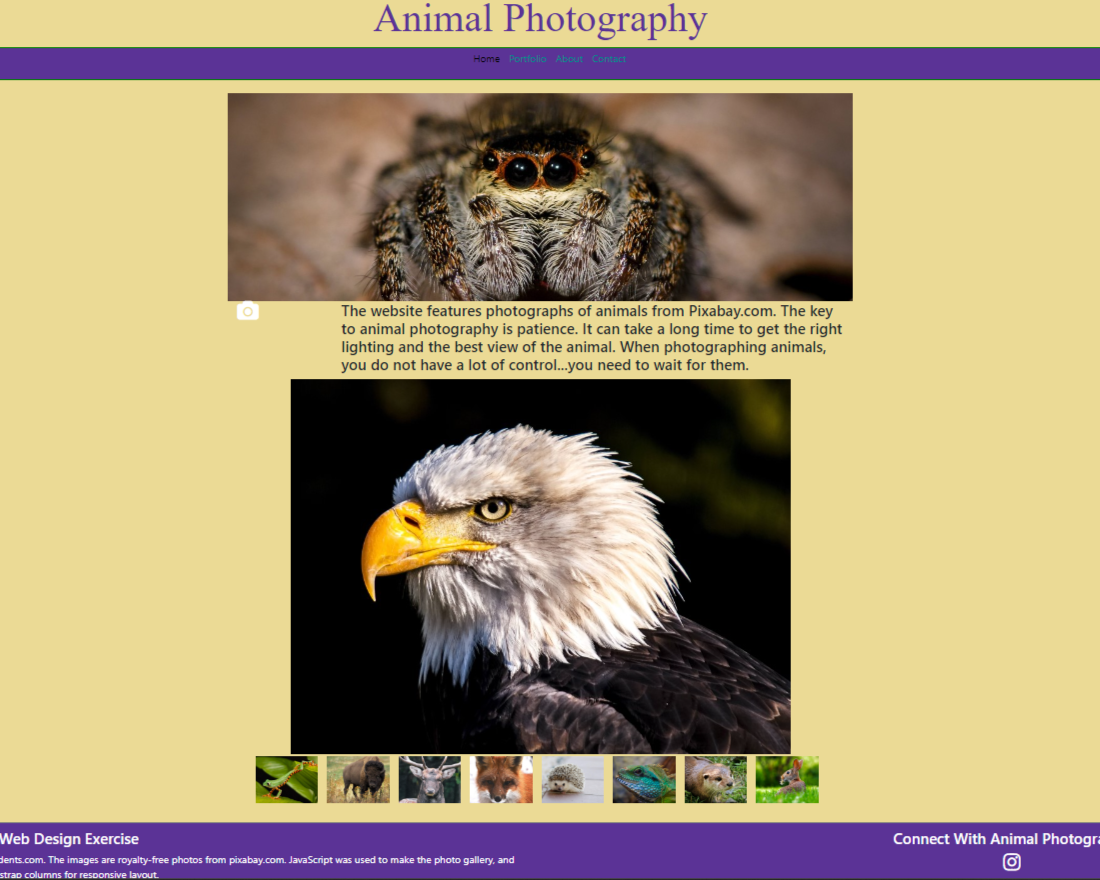 animals website